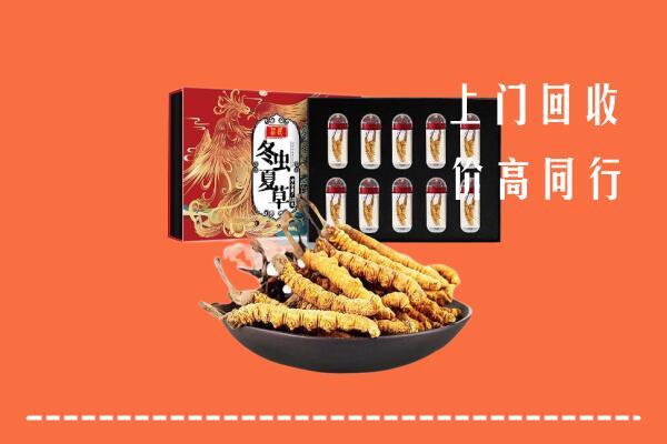 阜新回收虫草